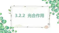 初中生物人教版（2024）七年级下册（2024）光合作用获奖ppt课件