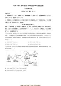 2024～2025学年山东省潍坊市昌邑市七年级上期末生物试卷(含答案)