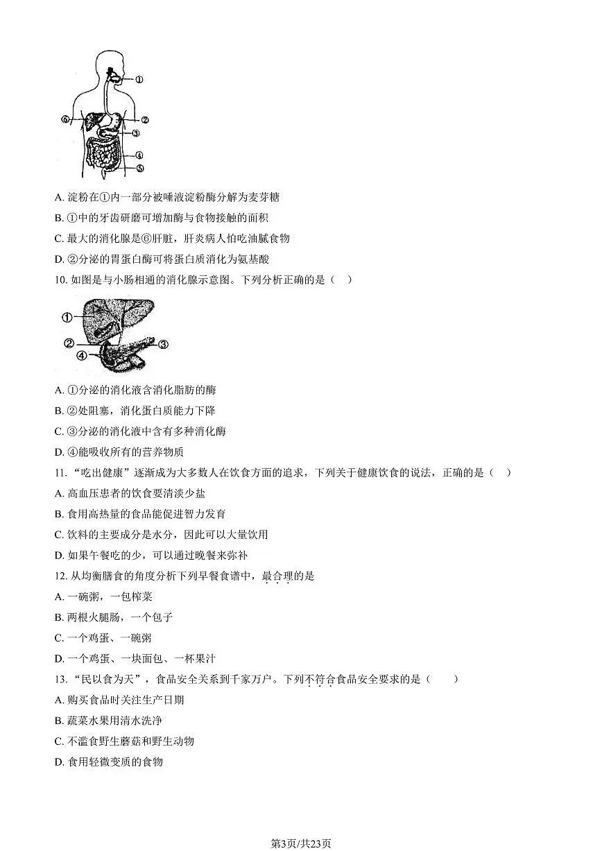 2024北京二中初一(下)期中生物(教师版)试卷第3页