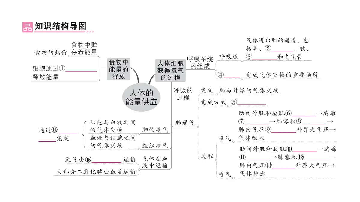 初中生物新北师大版七年级下册第4单元第8章 总结训练作业课件2025春第2页