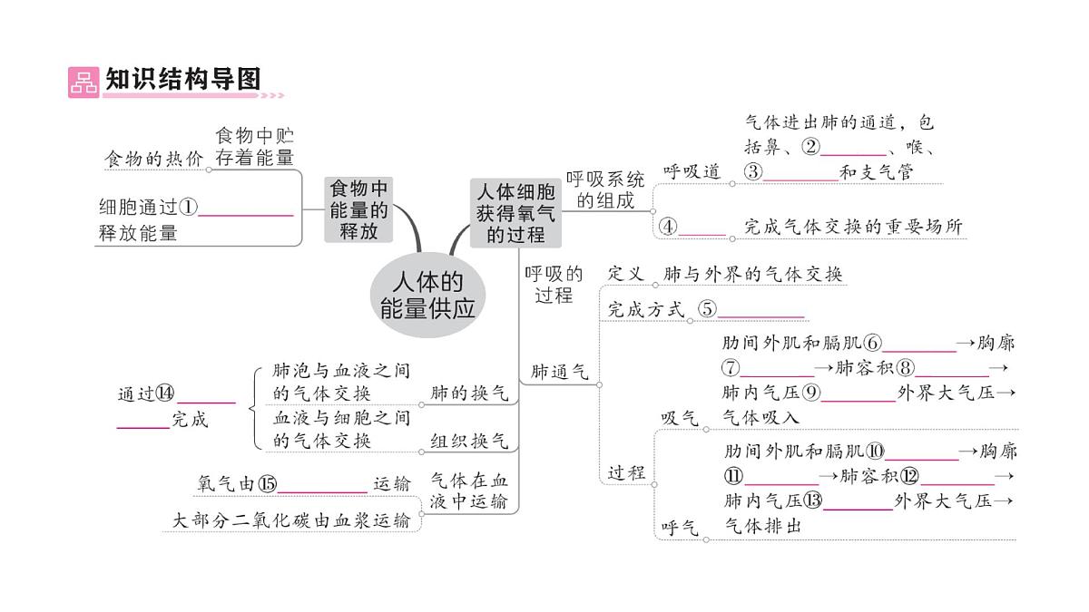 初中生物新北师大版七年级下册第4单元第8章 总结训练作业课件2025春第2页