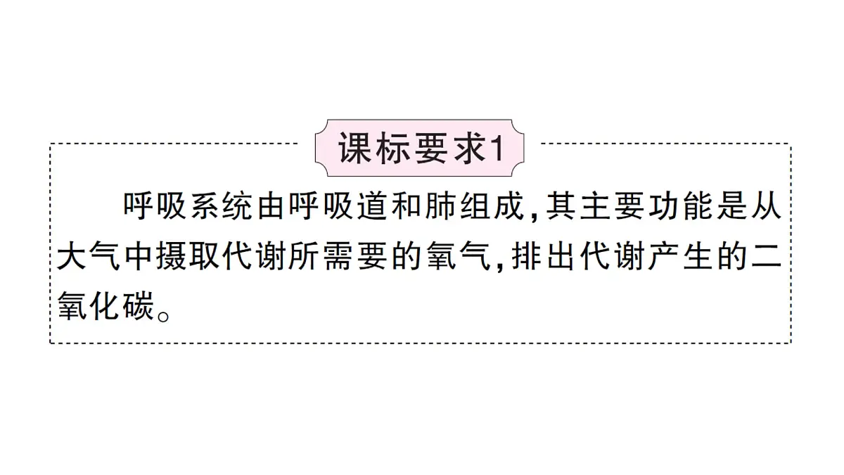 初中生物新北师大版七年级下册第4单元第8章 总结训练作业课件2025春第5页