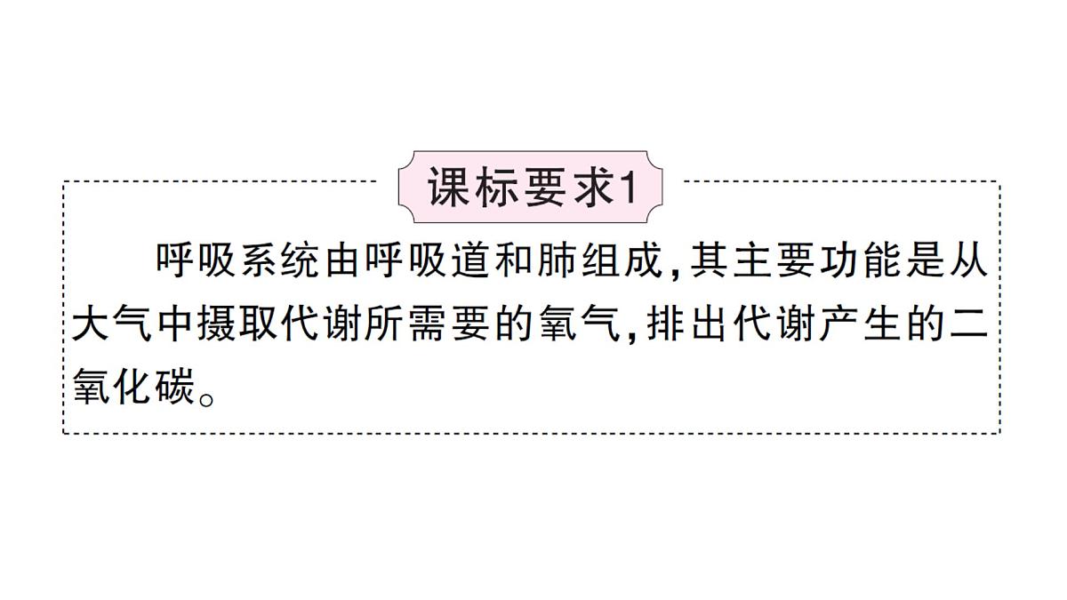初中生物新北师大版七年级下册第4单元第8章 总结训练作业课件2025春第5页