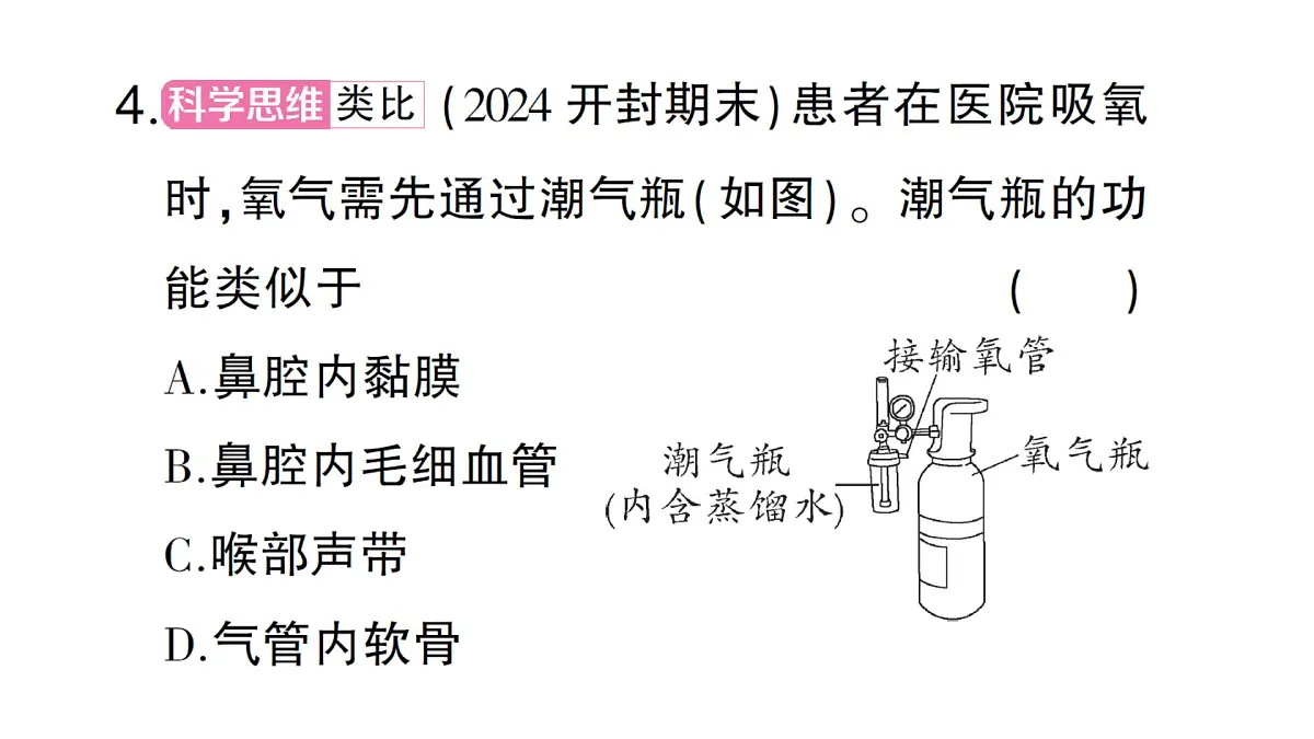 初中生物新北师大版七年级下册第4单元第8章 总结训练作业课件2025春第7页
