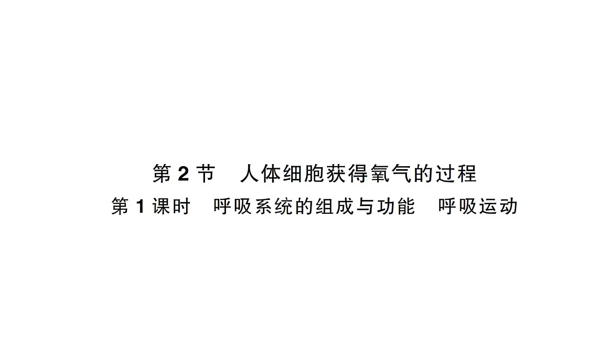 初中生物新北师大版七年级下册第4单元第8章 第2节第1课时 呼吸系统的组成与功能呼吸运动作业课件2025春第1页