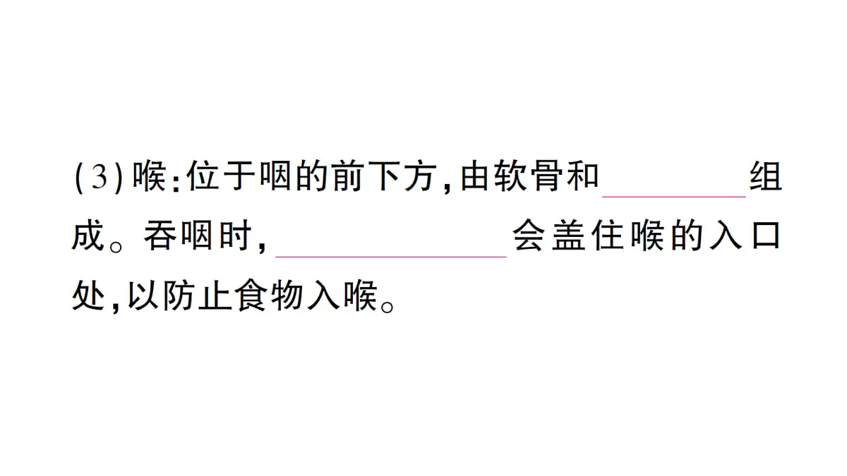 初中生物新北师大版七年级下册第4单元第8章 第2节第1课时 呼吸系统的组成与功能呼吸运动作业课件2025春第4页
