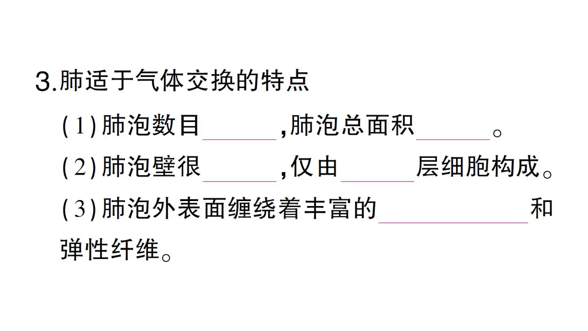 初中生物新北师大版七年级下册第4单元第8章 第2节第1课时 呼吸系统的组成与功能呼吸运动作业课件2025春第6页