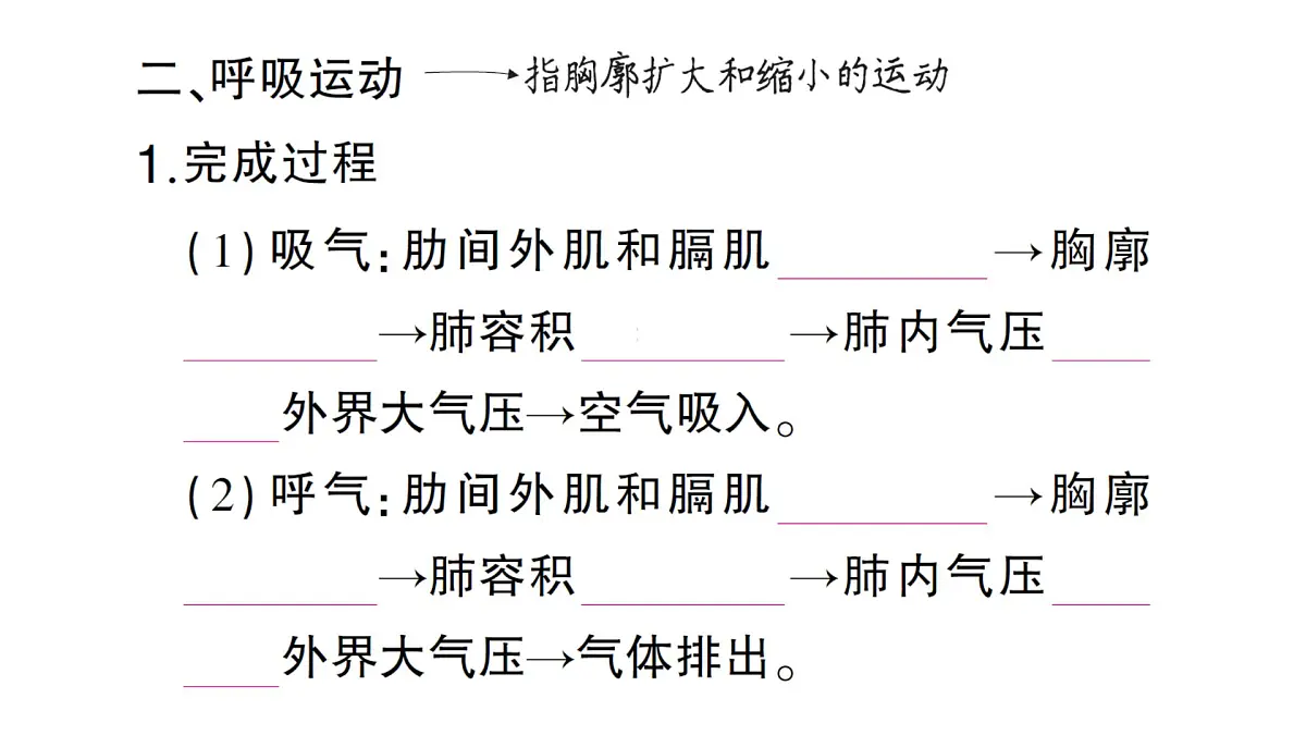 初中生物新北师大版七年级下册第4单元第8章 第2节第1课时 呼吸系统的组成与功能呼吸运动作业课件2025春第7页