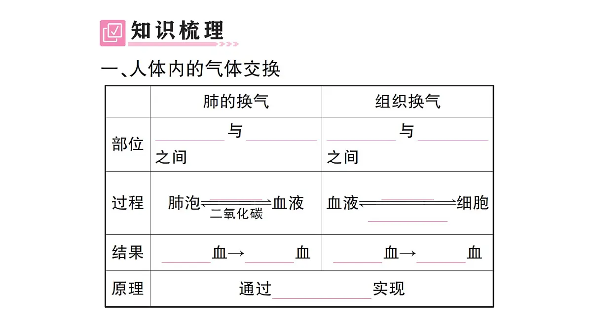 初中生物新北师大版七年级下册第4单元第8章 第2节第2课时 人体内的气体交换作业课件2025春第2页