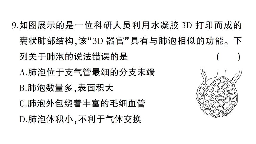 初中生物新北師大版七年級下冊第8章 綜合訓(xùn)練作業(yè)課件2025春第7頁
