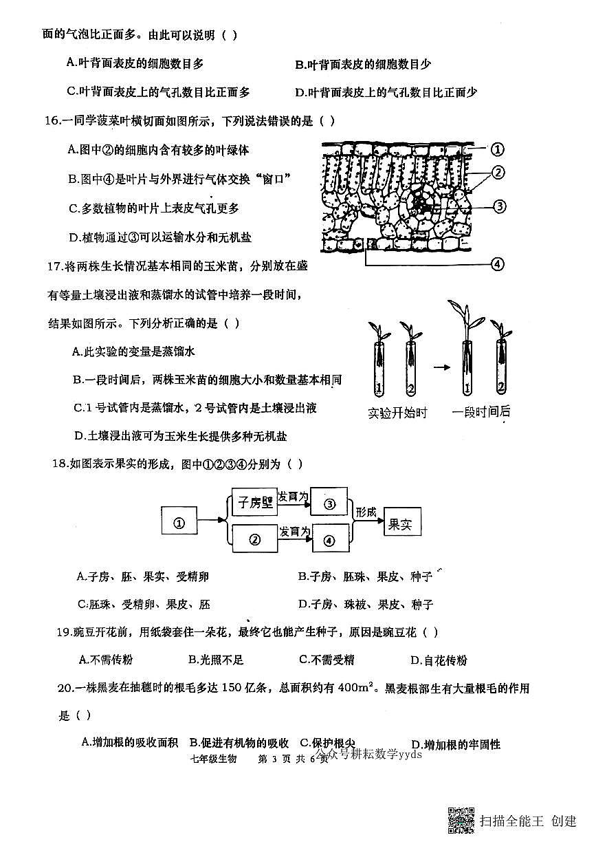 河南省南阳市镇平县2024-2025学年七年级下册第一次月考生物试卷及答案第3页