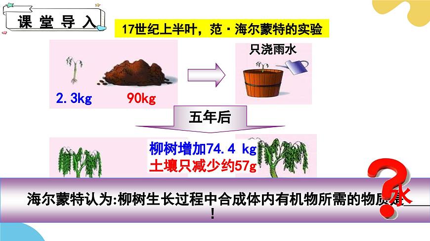蘇科版生物七年級下冊 —第十二章 第1節(jié) 植物是生物圈中的生產(chǎn)者 PPT課件第4頁