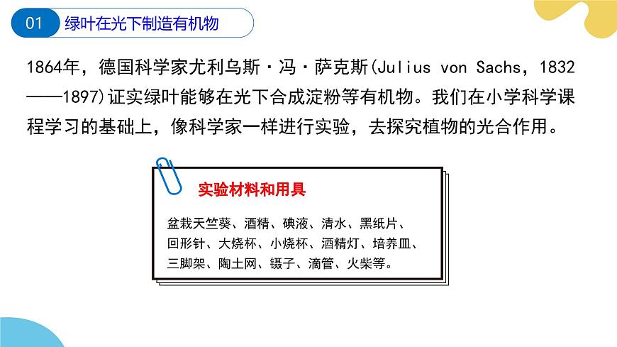 蘇科版生物七年級下冊 —第十二章 第1節(jié) 植物是生物圈中的生產(chǎn)者 PPT課件第5頁