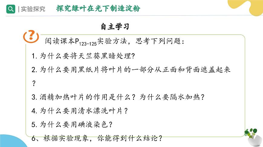 蘇科版生物七年級下冊 —第十二章 第1節(jié) 植物是生物圈中的生產(chǎn)者 PPT課件第7頁