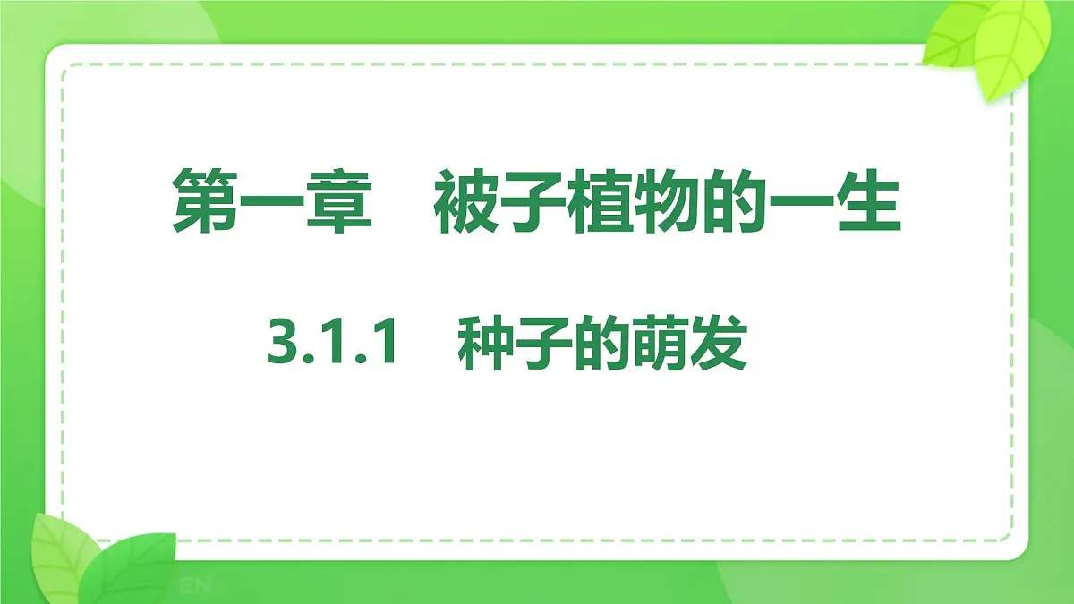 3.1.1 种子的萌发 课件-2024-2025学年人教版生物七年级下册第1页