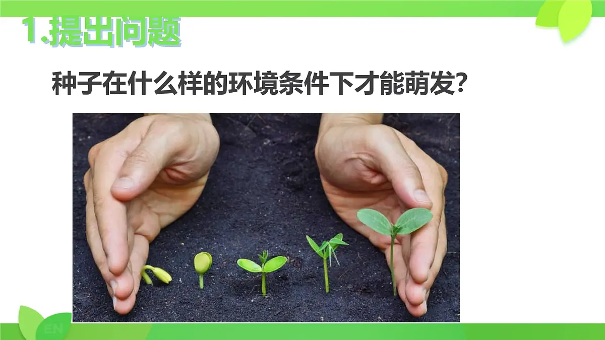 3.1.1 种子的萌发 课件-2024-2025学年人教版生物七年级下册第4页