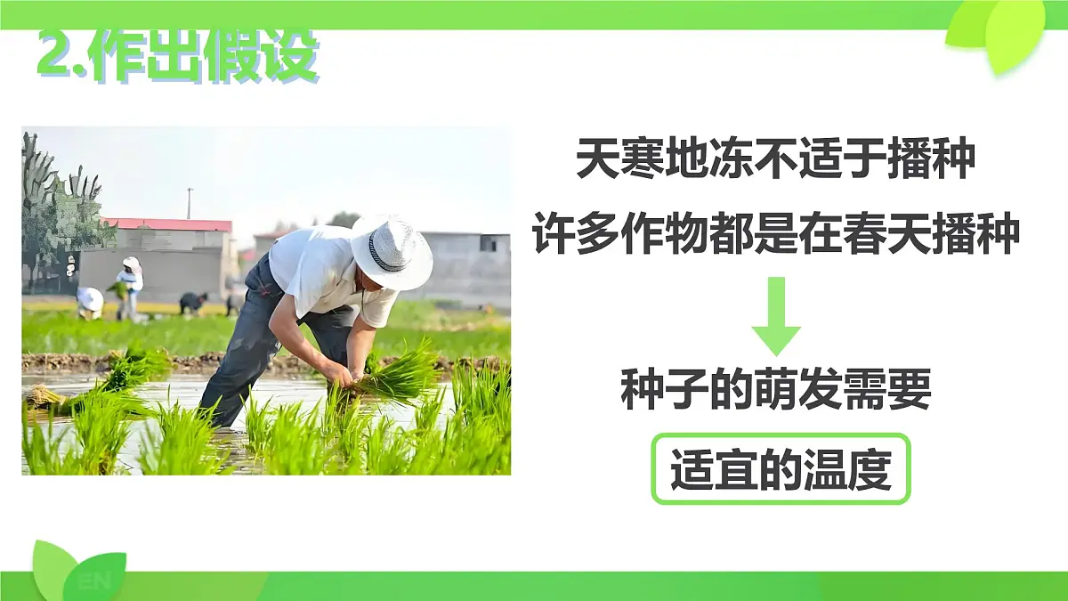 3.1.1 种子的萌发 课件-2024-2025学年人教版生物七年级下册第5页