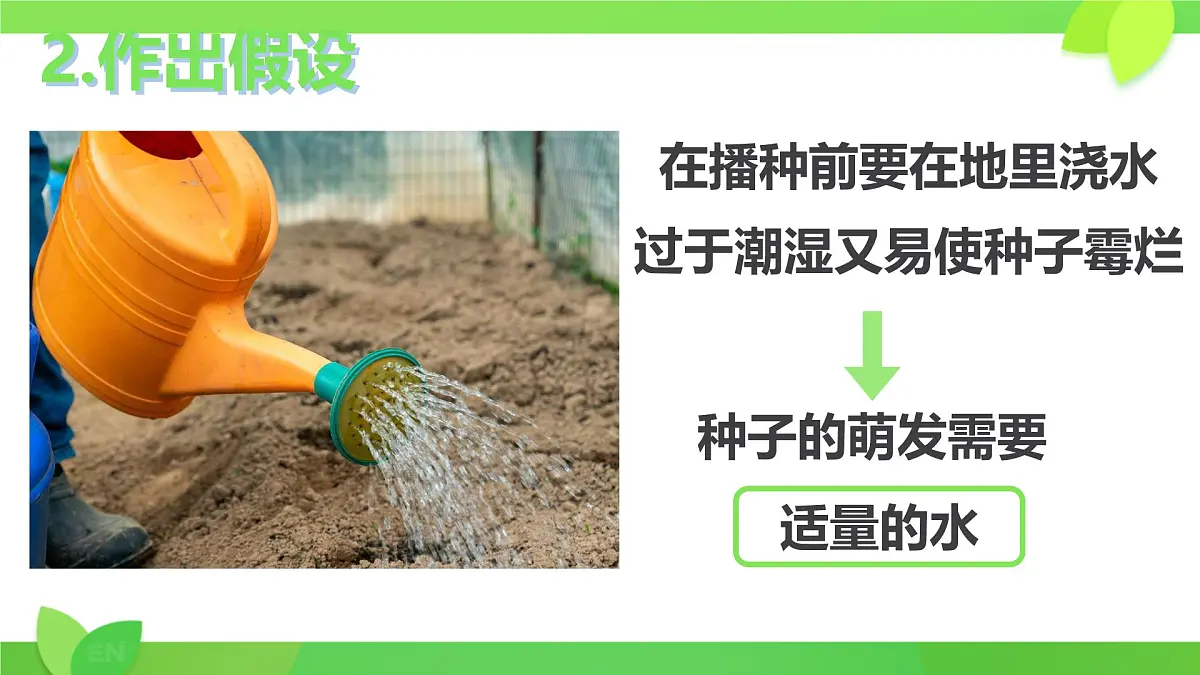 3.1.1 种子的萌发 课件-2024-2025学年人教版生物七年级下册第6页