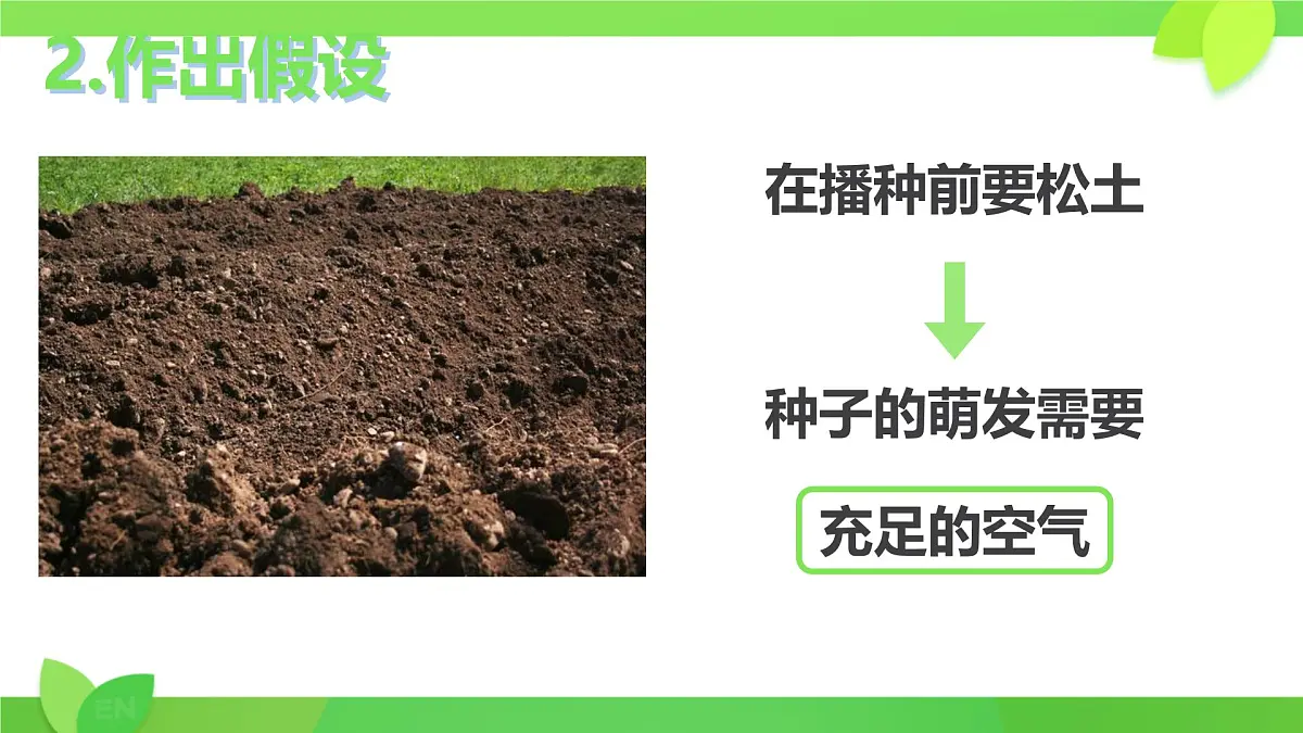 3.1.1 种子的萌发 课件-2024-2025学年人教版生物七年级下册第7页