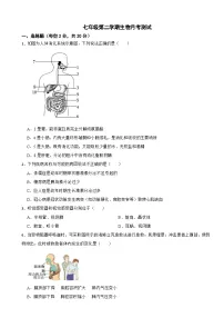 湖北省襄阳市2025年七年级第二学期生物月考测试含答案