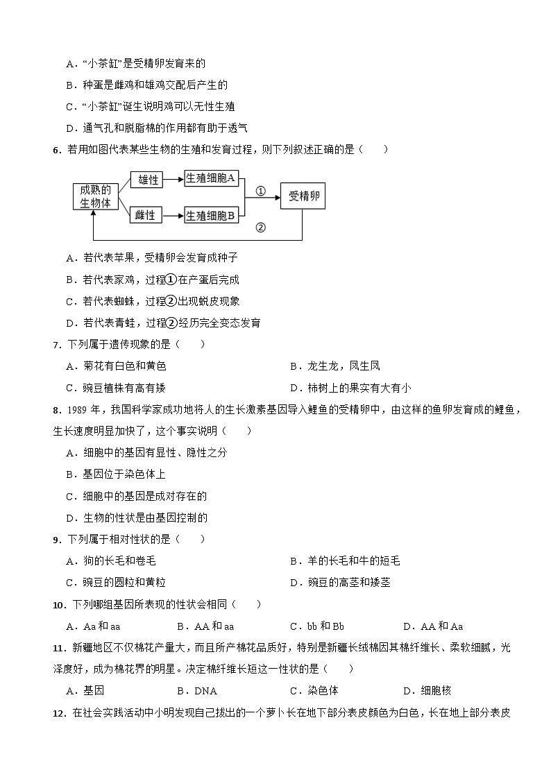 重庆市巴南区市2025年八年级下学期生物月考试卷含答案第2页