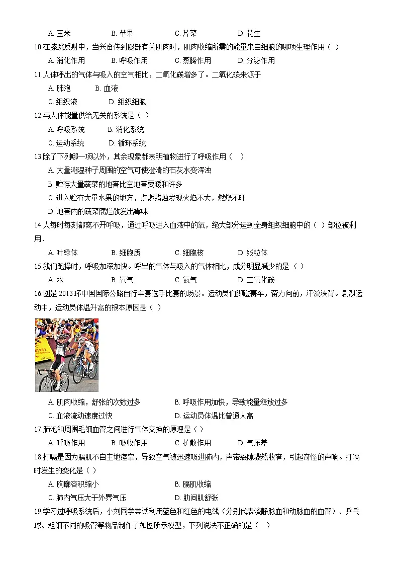 北师大版(2024)生物七年级下册生物第8章《人体的能量供应》综合素养测试卷(含答案)第2页