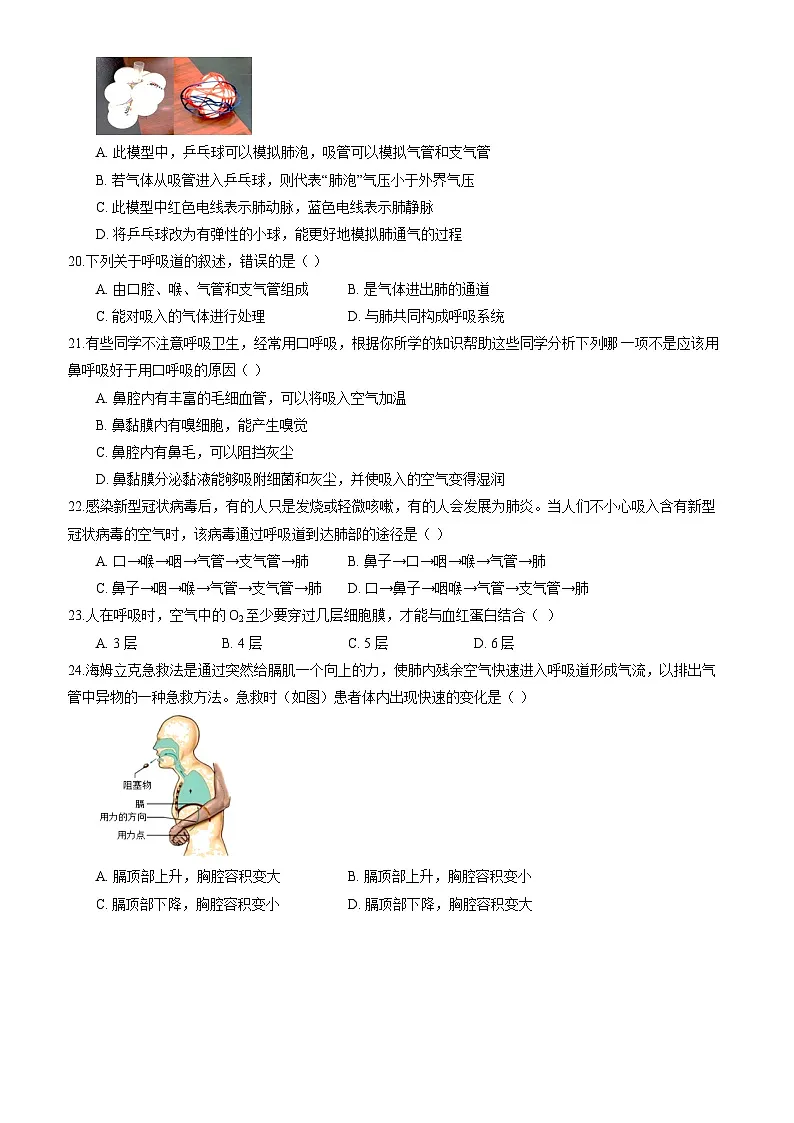 北师大版(2024)生物七年级下册生物第8章《人体的能量供应》综合素养测试卷(含答案)第3页