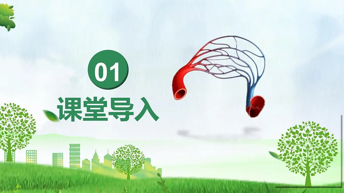 4.4.2血流的管道——血管(课件)-2024-2025学年七年级生物下册(人教版2024)第3页