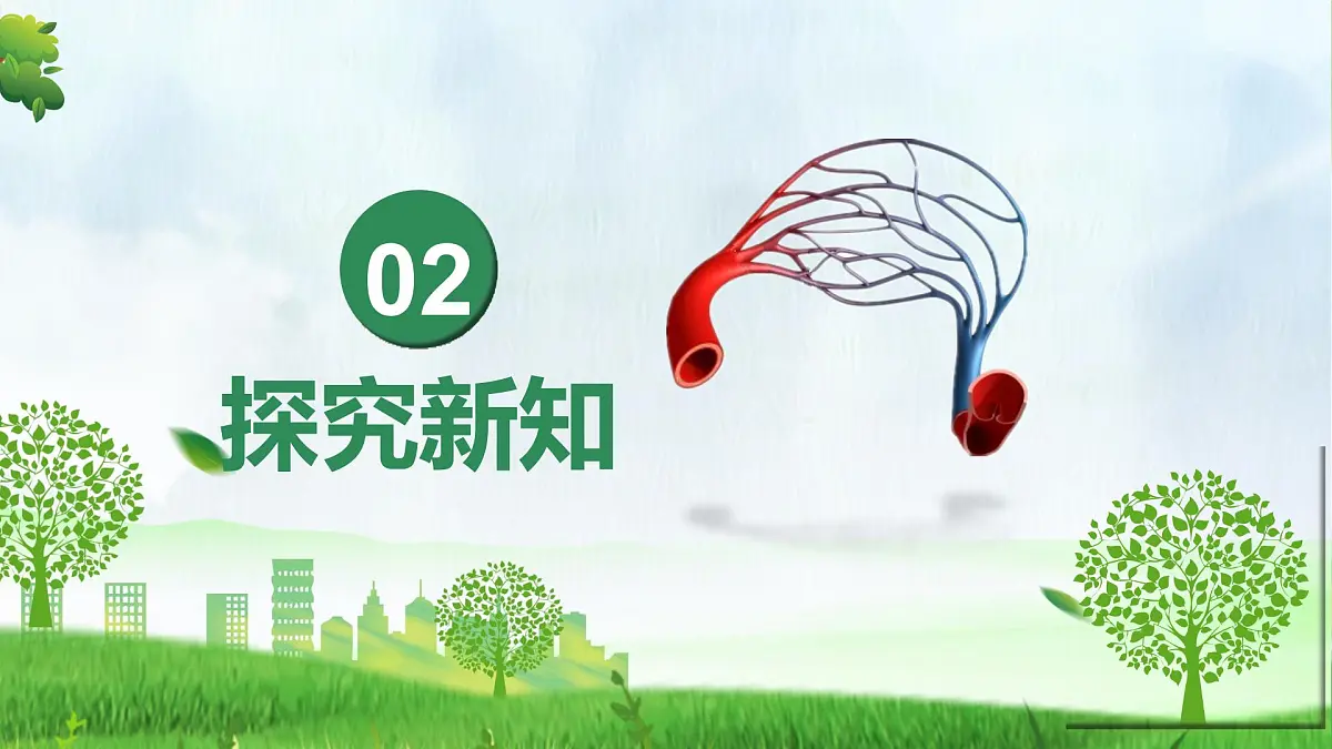 4.4.2血流的管道——血管(课件)-2024-2025学年七年级生物下册(人教版2024)第5页