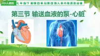 初中生物人教版（2024）七年级下册（2024）输送血液的泵—心脏多媒体教学课件ppt
