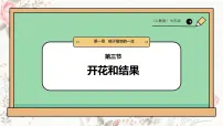 初中人教版（2024）开花和结果评优课课件ppt