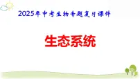 2025年中考生物专题复习课件：生态系统