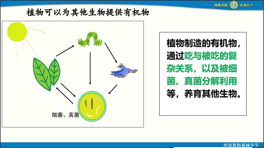 人教版初中生物七下第三單元 第二章第四節(jié)《植物在自然界中的作用》 PPT課件第6頁(yè)