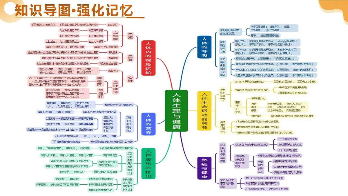 主题五 人体生理与健康(二轮突破课件)-2025年中考生物二轮复习讲练测(湖南专用)第5页