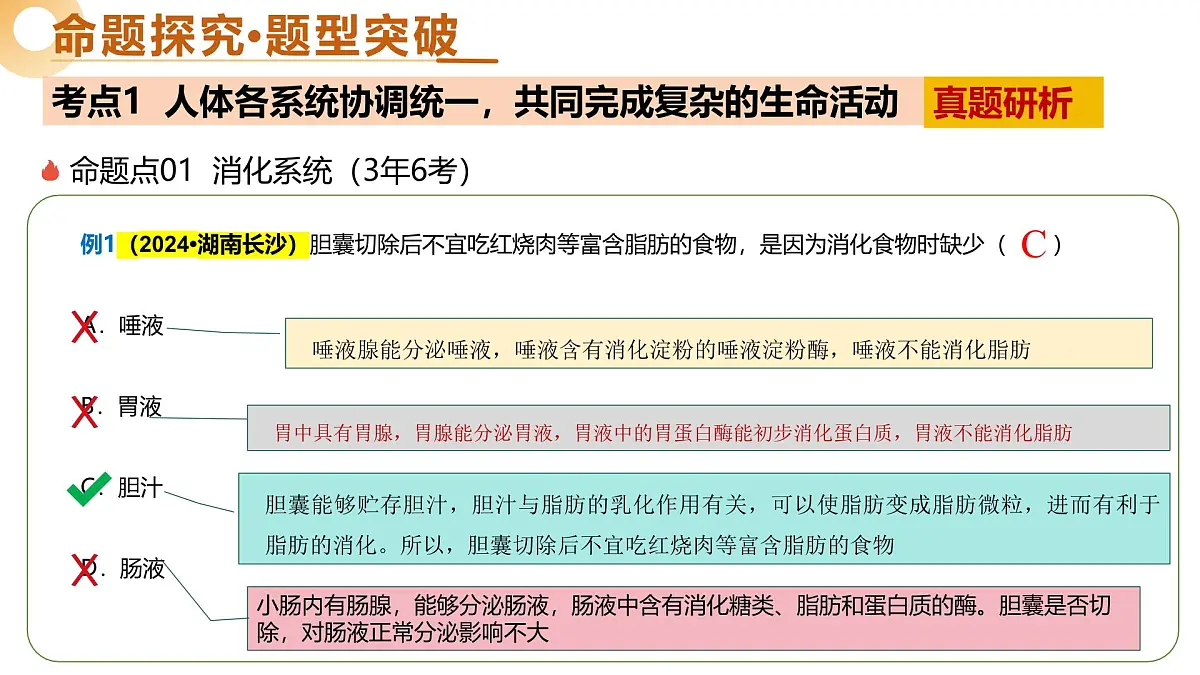 主题五 人体生理与健康(二轮突破课件)-2025年中考生物二轮复习讲练测(湖南专用)第6页