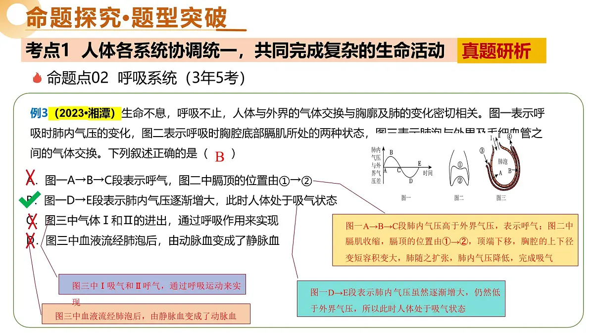 主题五 人体生理与健康(二轮突破课件)-2025年中考生物二轮复习讲练测(湖南专用)第8页