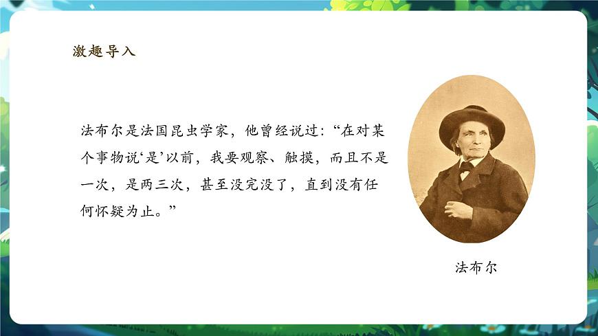 《1.1.1觀察周邊環(huán)境中的生物》課件第4頁
