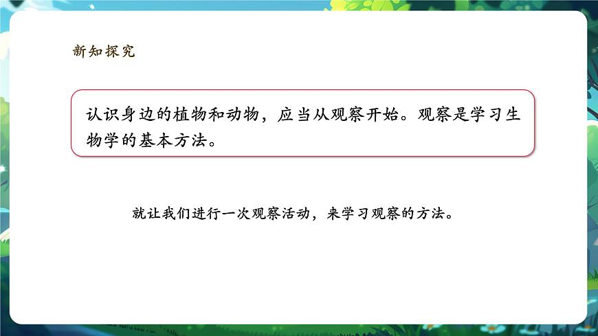 《1.1.1觀察周邊環(huán)境中的生物》課件第6頁