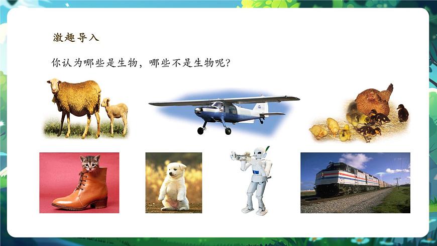 《1.1.2生物的特征》課件第3頁