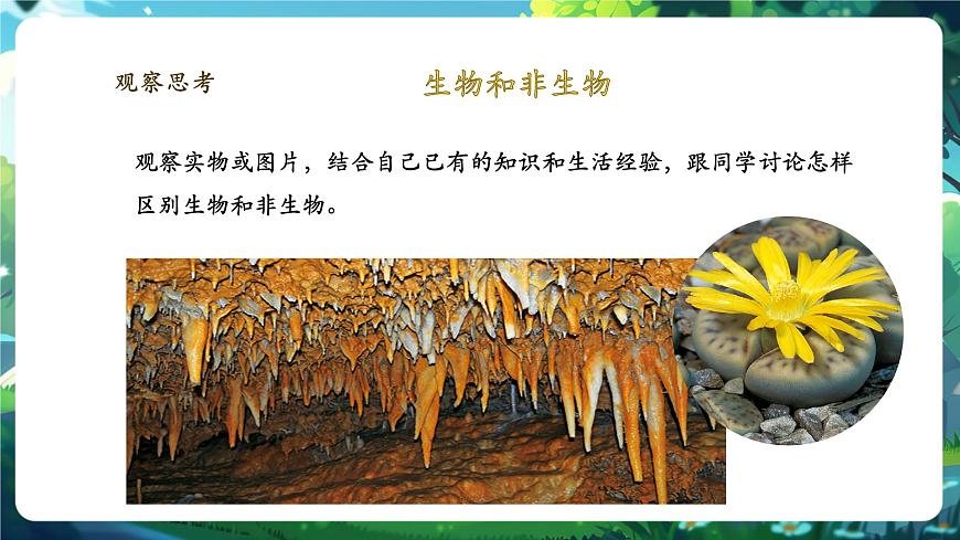 《1.1.2生物的特征》課件第6頁