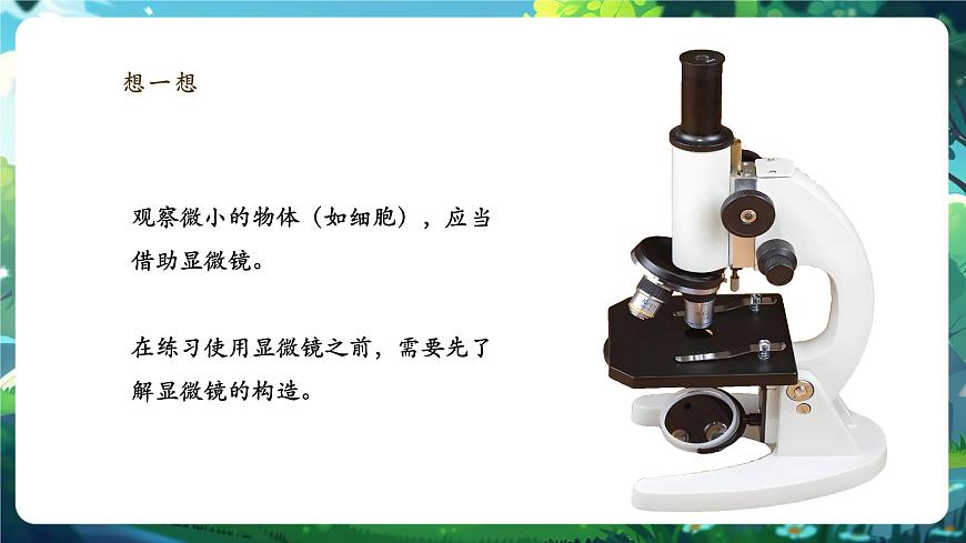 《1.2.1.1學(xué)習(xí)使用顯微鏡（第一課時）》課件第5頁