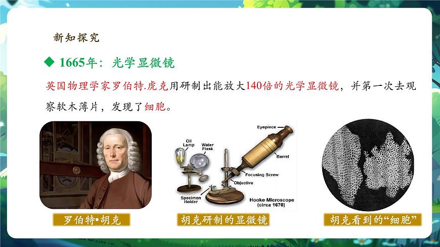 《1.2.1.1學(xué)習(xí)使用顯微鏡（第一課時）》課件第7頁