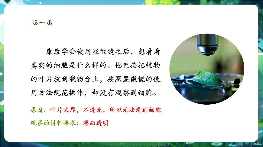 《1.2.2.1植物細(xì)胞（第一課時(shí)）》課件第3頁(yè)