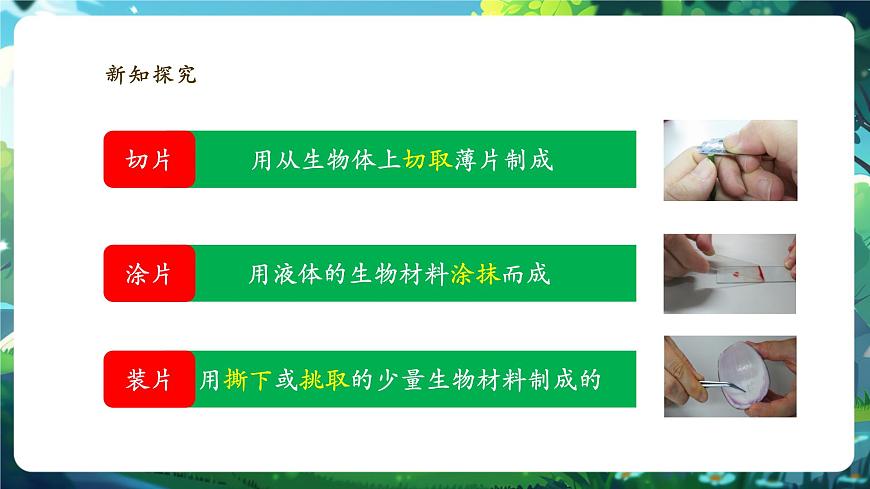 《1.2.2.1植物細(xì)胞（第一課時(shí)）》課件第5頁(yè)