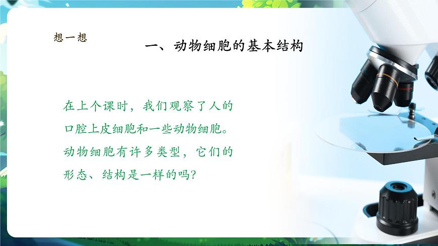 《1.2.3.2動物細(xì)胞（第二課時） 》課件第4頁
