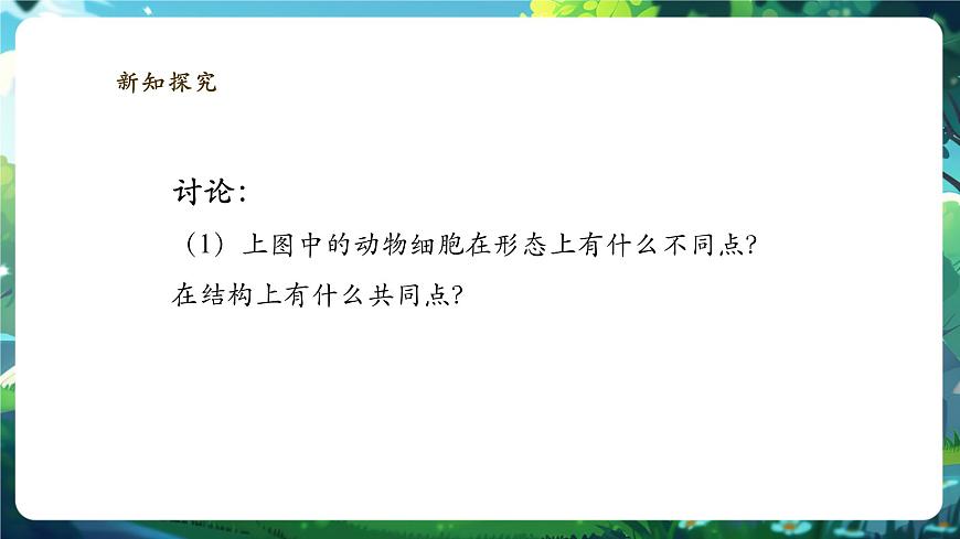 《1.2.3.2動物細(xì)胞（第二課時） 》課件第6頁