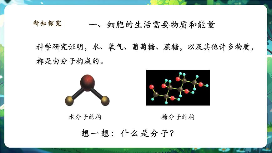 《1.2.4.1細(xì)胞的生活（第一課時(shí)）》課件第4頁(yè)