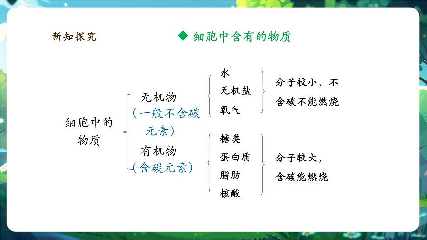 《1.2.4.1細(xì)胞的生活（第一課時(shí)）》課件第7頁(yè)