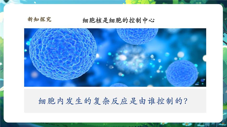 《1.2.4.2細(xì)胞的生活（第二課時）》課件第4頁