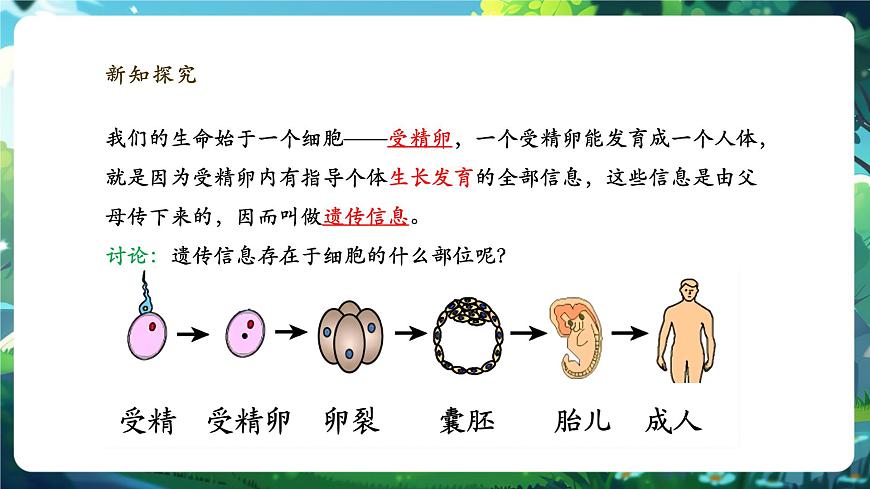 《1.2.4.2細(xì)胞的生活（第二課時）》課件第7頁